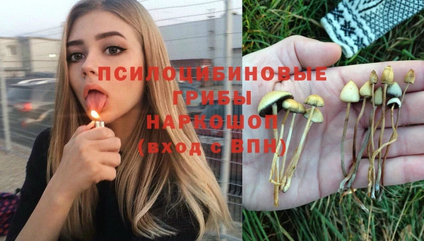 круглые Арсеньев