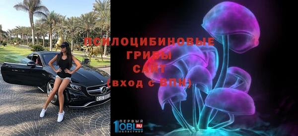 гидропоника Армянск