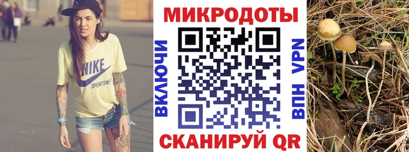 цена   Новохопёрск  площадка клад  Галлюциногенные грибы ЛСД 